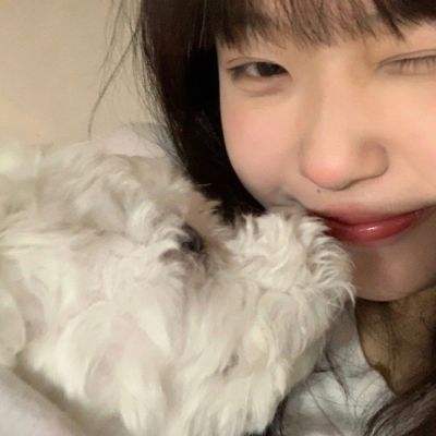奇迹童话大乱斗破解版下载